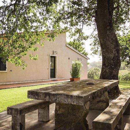 Country House Poggio Aione Guest House Catabbio Bagian luar foto