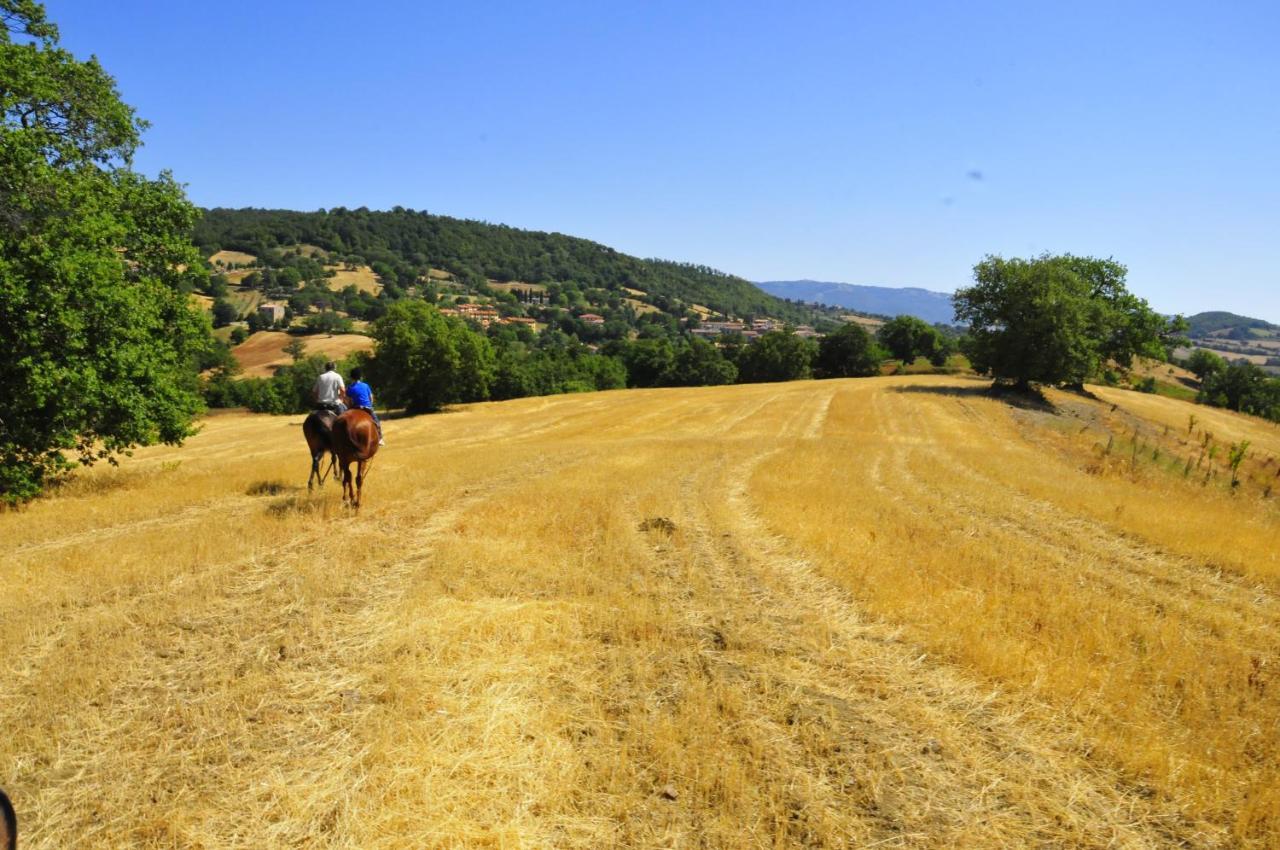 Country House Poggio Aione Guest House Catabbio Bagian luar foto