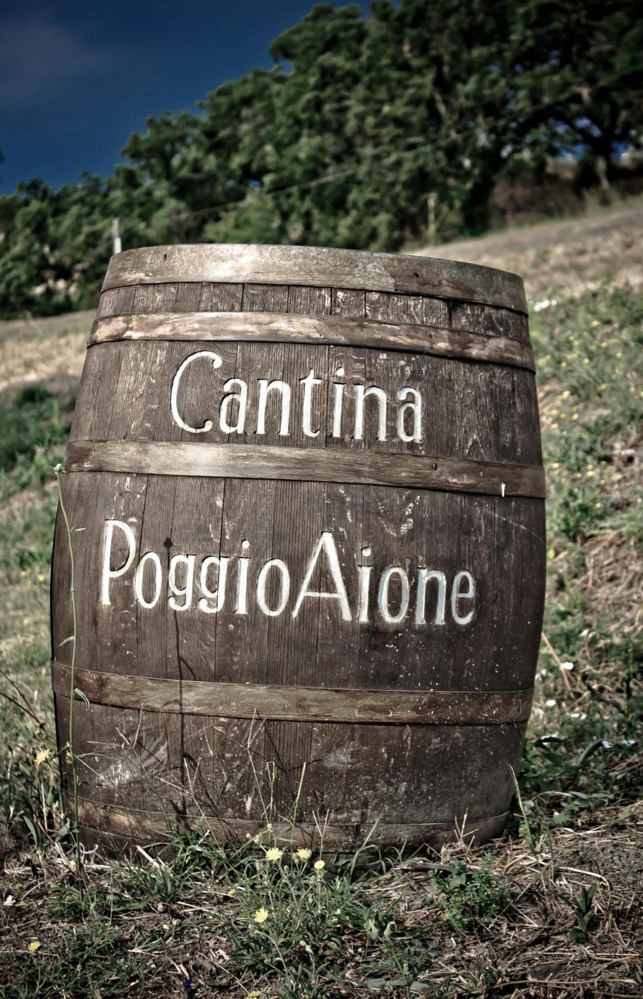 Country House Poggio Aione Guest House Catabbio Bagian luar foto
