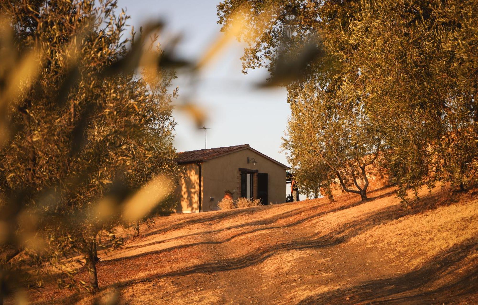 Country House Poggio Aione Guest House Catabbio Bagian luar foto
