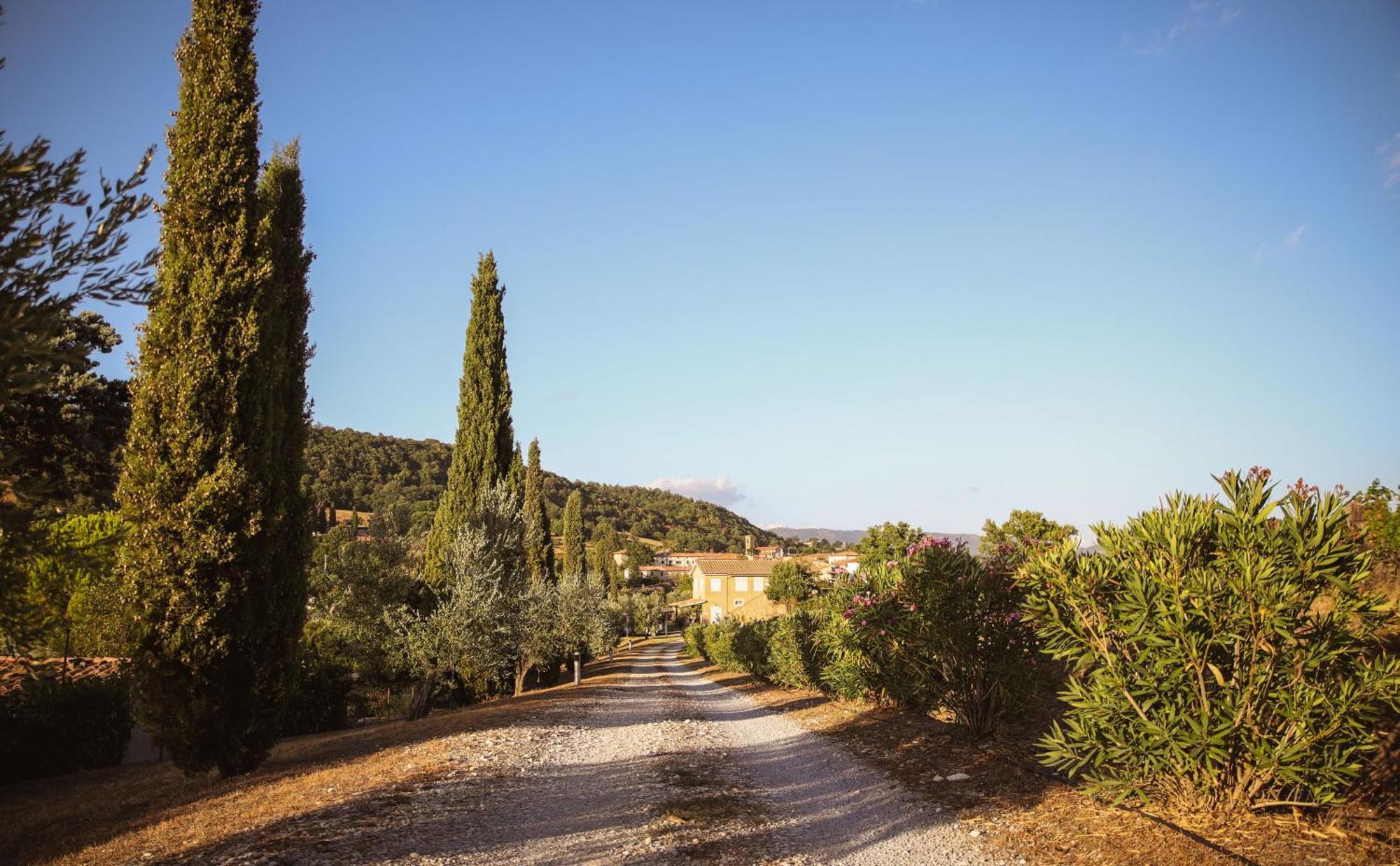 Country House Poggio Aione Guest House Catabbio Bagian luar foto